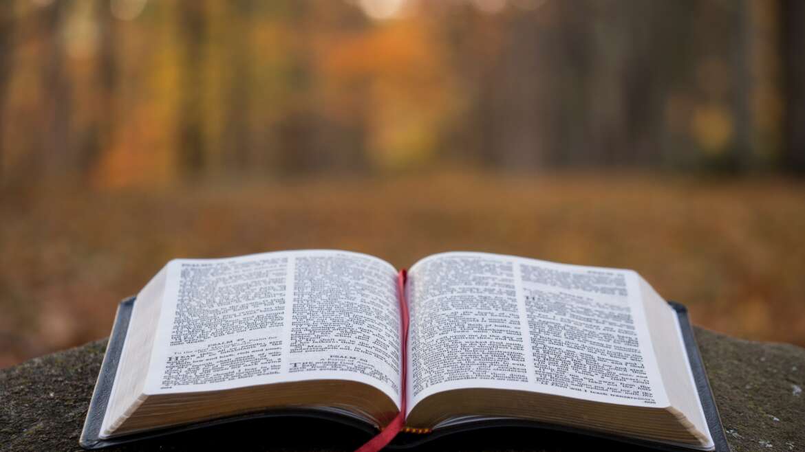 The Public Reading of Scripture, Part Two
